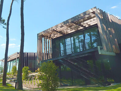 sdem pano